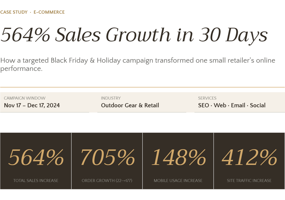 Black Friday Sale | Case Study