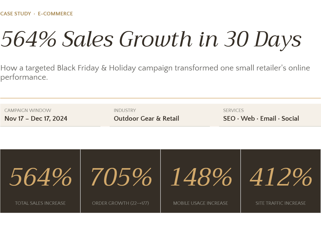 Black Friday Sale | Case Study