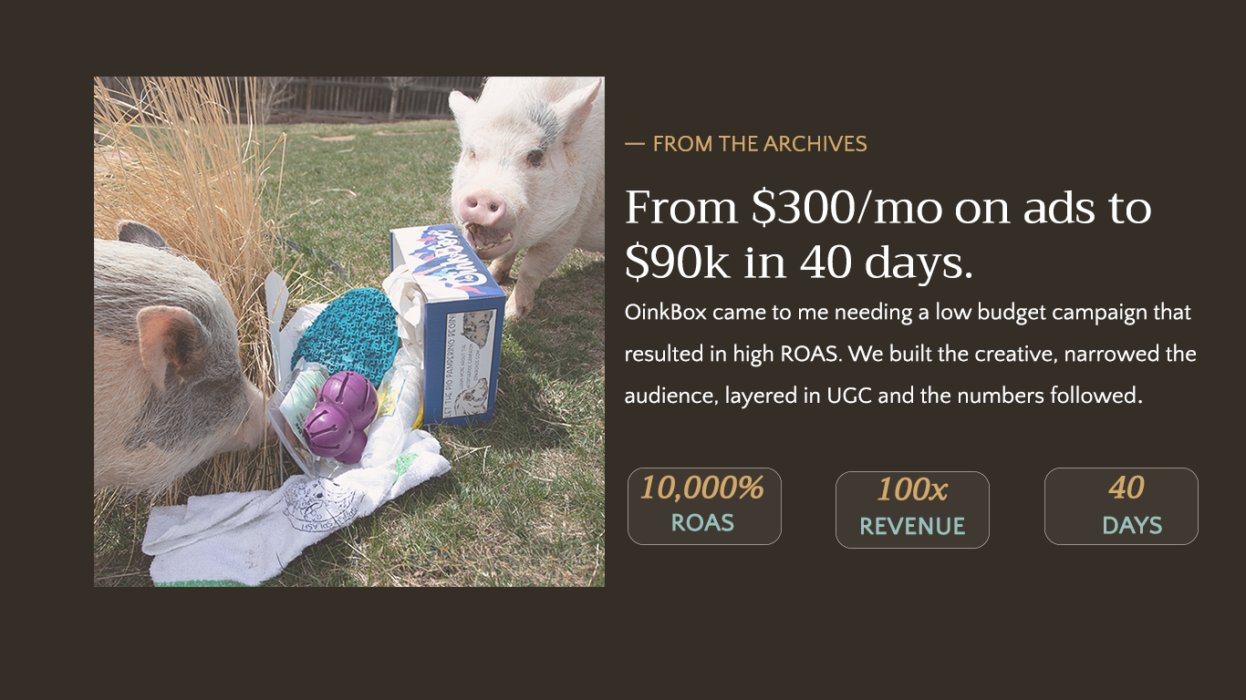 OinkBox Holiday Campaign | Case Study